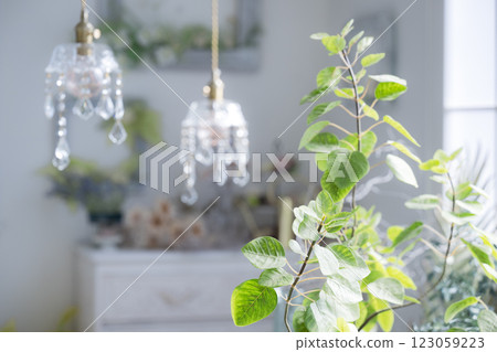 Natural interior goods 123059223