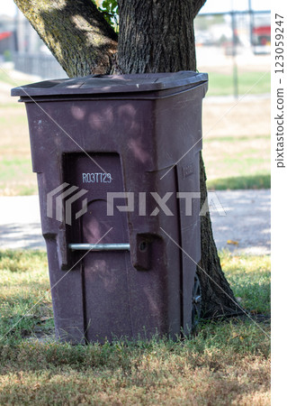 Park trash can by large tree close up Park trash can by large tree close up 123059247