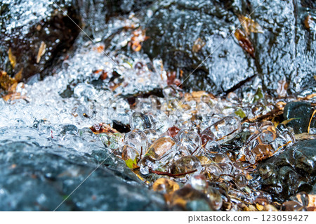 Ice that has solidified around a tree branch 123059427