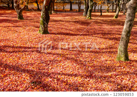 京都府京都市東山區東福寺院內 123059853