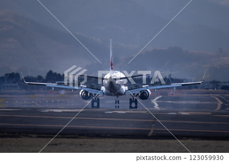 A plane landing at Sendai International Airport A plane landing at Sendai International Airport 123059930
