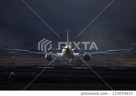 A plane landing at Sendai International Airport A plane landing at Sendai International Airport 123059933