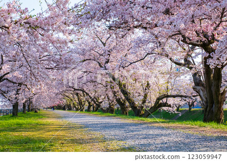 Asahi Funagawa River 123059947