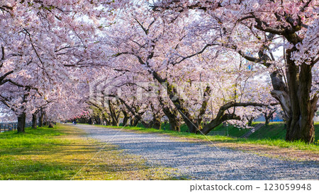 旭船川河 旭船川河 123059948