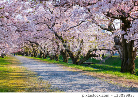 旭船川河 旭船川河 123059953