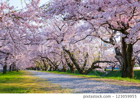 旭船川河 旭船川河 123059955