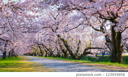 Asahi Funagawa River 123059956