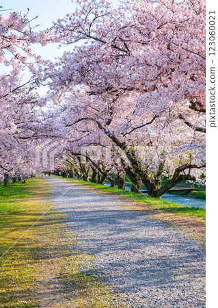 Asahi Funagawa River Asahi Funagawa River 123060021