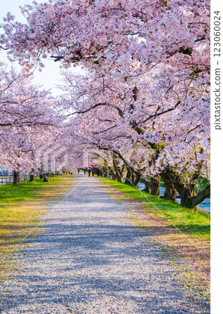 Asahi Funagawa River Asahi Funagawa River 123060024