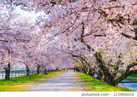 旭船川河 123060029