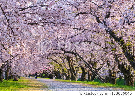 旭船川河 旭船川河 123060040