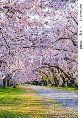 旭船川河 旭船川河 123060066