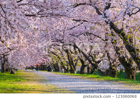 Asahi Funagawa River Asahi Funagawa River 123060068