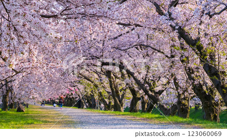 旭船川河 123060069