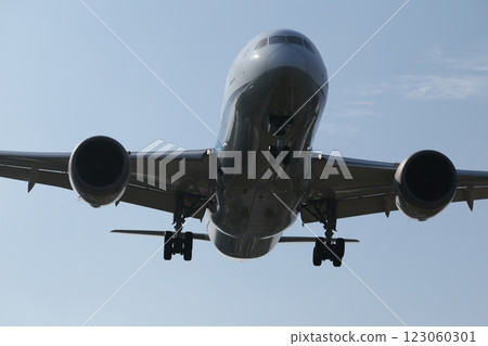 wide-body airliner 123060301