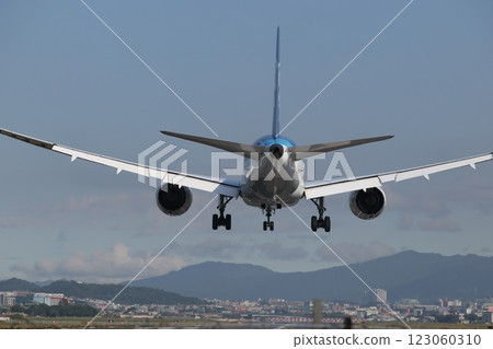 廣體客機 123060310