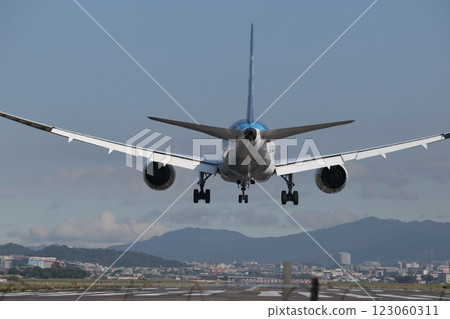 wide-body airliner 123060311
