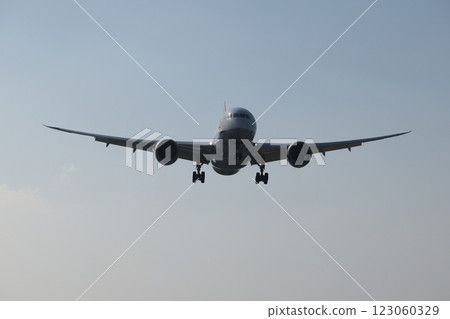 廣體客機 123060329