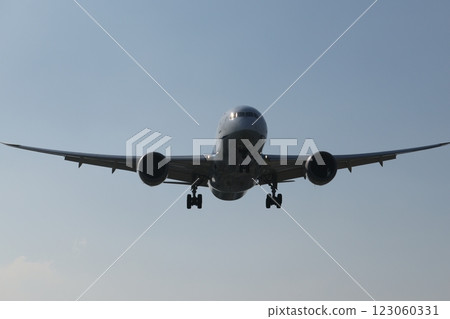 廣體客機 123060331