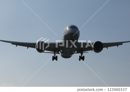 廣體客機 123060337