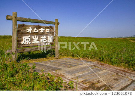 Omusaro native garden Omusaro native garden 123061078