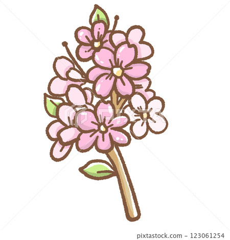 Hand drawn illustration cherry blossoms Sakura pastel color isolated on transparent background, nursery decorations, spring Hand drawn illustration cherry blossoms Sakura pastel color isolated on transparent background, nursery decorations, spring 123061254