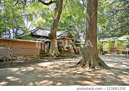 見沼稻田與冰河神社,埼玉市綠區神社事務所 見沼稻田與冰河神社,埼玉市綠區神社事務所 123061292