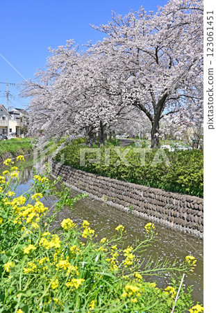 埼玉市綠區見沼稻田及見沼台灌溉渠西緣 123061451