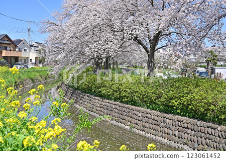 埼玉市綠區見沼稻田及見沼台灌溉渠西緣 123061452