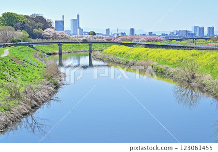 Minuma rice fields and the flow of the Shiba River, Midori Ward, Saitama City Minuma rice fields and the flow of the Shiba River, Midori Ward, Saitama City 123061455