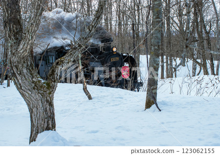 Winter marshland train passing through Butterfly Forest and the mixed forest 123062155