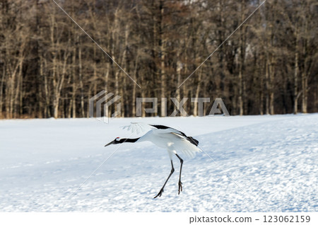 Arrived at the usual place 123062159