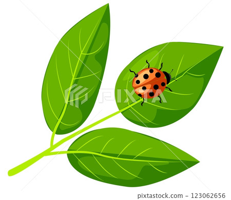 Insect resting on vibrant green leaves in a bright and colorful vector illustration 123062656
