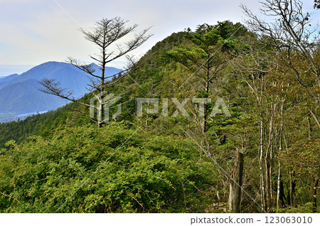 從禦坂山脈的吉澤山眺望毛無山、雨岳、龍岳 123063010
