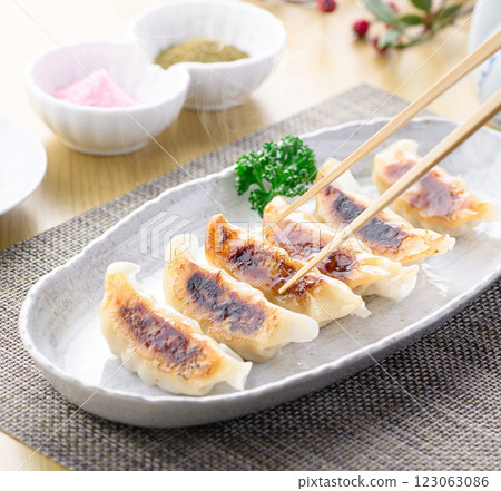 Pan-fried gyoza Pan-fried gyoza 123063086