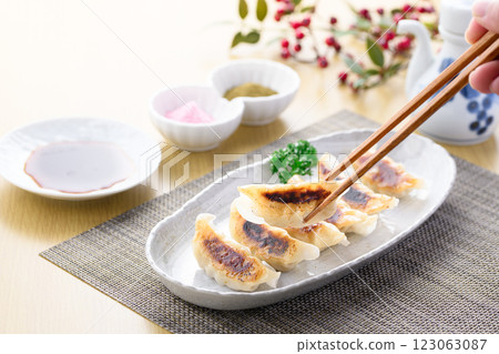 Pan-fried gyoza Pan-fried gyoza 123063087