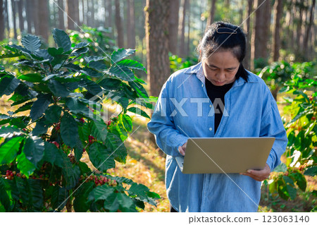 Harvest coffee bean ripe Red berries typing laptop computer check quality control plant coffee tree. Smart farmer using laptop in green coffee farm sustainable quality control agriculture technology 123063140