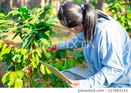 Harvest coffee bean ripe Red berries typing laptop computer check quality control plant coffee tree. Smart farmer using laptop in green coffee farm sustainable quality control agriculture technology Harvest coffee bean ripe Red berries typing laptop computer check quality control plant coffee tree. Smart farmer using laptop in green coffee farm sustainable quality control agriculture technology 123063141