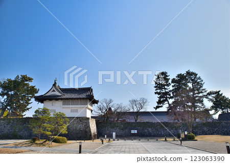 Saga Castle, Saga Castle 123063390