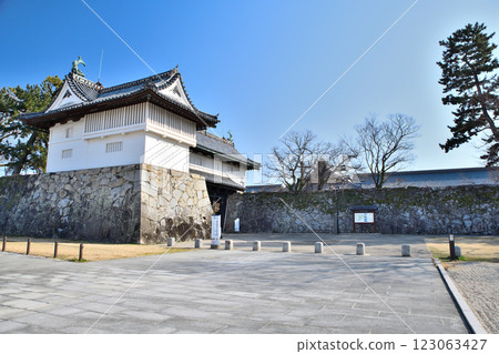 Saga Castle, Saga Castle Saga Castle, Saga Castle 123063427