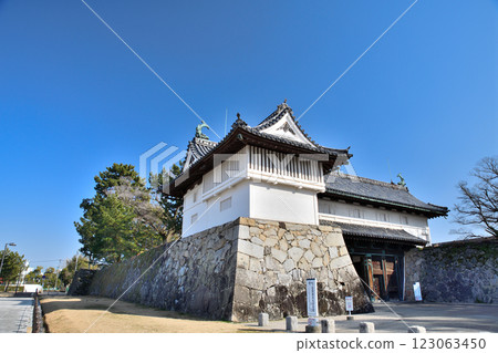 Saga Castle, Saga Castle 123063450