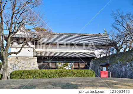 Saga Castle, Saga Castle Saga Castle, Saga Castle 123063473