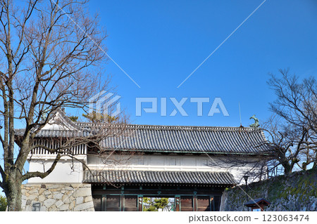 Saga Castle, Saga Castle Saga Castle, Saga Castle 123063474