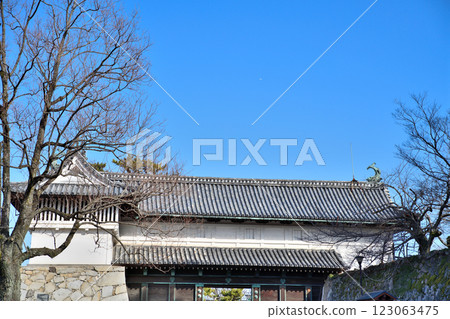 Saga Castle, Saga Castle Saga Castle, Saga Castle 123063475