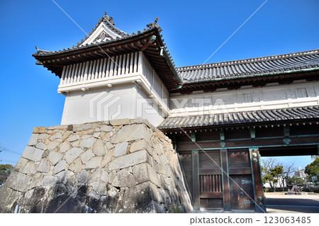 Saga Castle, Saga Castle Saga Castle, Saga Castle 123063485