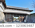 Saga Castle, Saga Castle 123063487