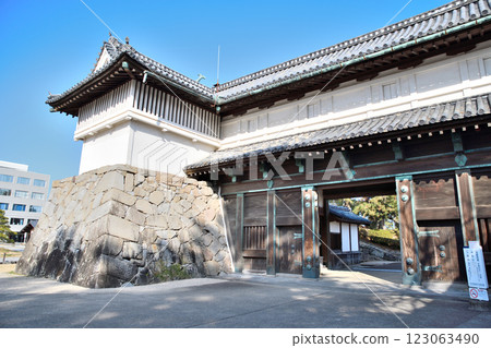 Saga Castle, Saga Castle Saga Castle, Saga Castle 123063490