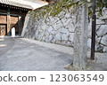 Saga Castle, Saga Castle 123063549