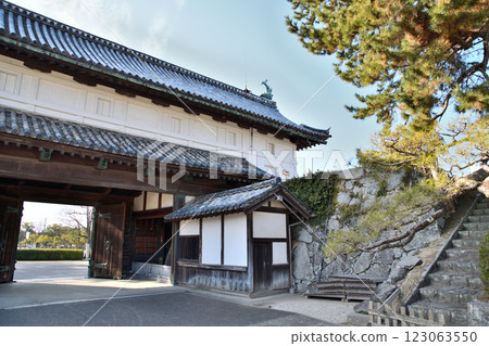 Saga Castle, Saga Castle Saga Castle, Saga Castle 123063550