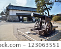 Saga Castle, Saga Castle 123063551